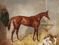 Gilt Framed Lithograph of a Bay Horse in a Stable - Harry Hall