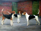 Fine Oleograph on Canvas of  3 Foxhounds in a Yard