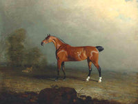 Oleograph on Canvas of "Musk" a Bay Horse in a Landscape