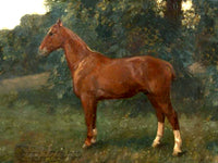 Oleograph on Canvas of a Hunter after Munnings