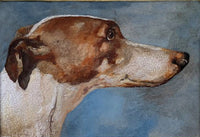 Antique Oil on Board of a Greyhound SOLD