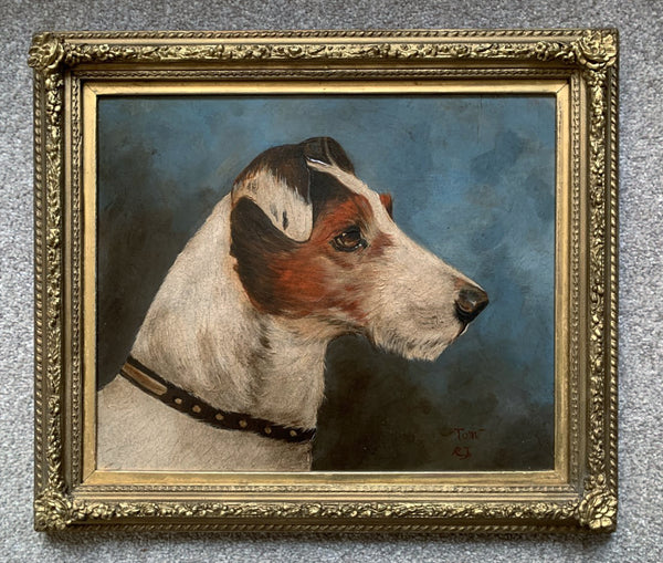 Vintage Oil on Board of a Fox Terrier -"Tom" SOLD