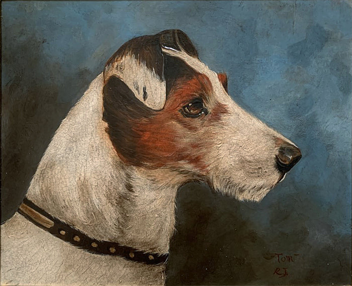 Vintage Oil on Board of a Fox Terrier -