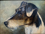 Fine Vintage Oil on Panel of a Wire Haired Fox Terrier SOLD