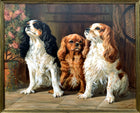 Fabulous large Mid C20th Oil on Canvas of a Trio of King Charles Cavalier Spaniels SOLD