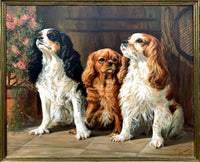 Fabulous large Mid C20th Oil on Canvas of a Trio of King Charles Cavalier Spaniels SOLD