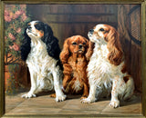 Fabulous large Mid C20th Oil on Canvas of a Trio of King Charles Cavalier Spaniels SOLD