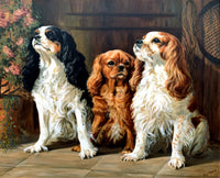 Fabulous large Mid C20th Oil on Canvas of a Trio of King Charles Cavalier Spaniels SOLD