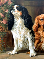 Fabulous large Mid C20th Oil on Canvas of a Trio of King Charles Cavalier Spaniels SOLD