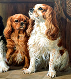 Fabulous large Mid C20th Oil on Canvas of a Trio of King Charles Cavalier Spaniels SOLD