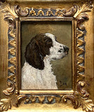 Vintage Oil on Board Miniature Portrait of an English Springer Spaniel SOLD