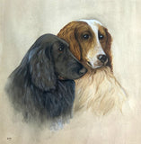 Fine Early C20th Watercolour Portrait of a pair of Spaniels - George Vernon Stokes