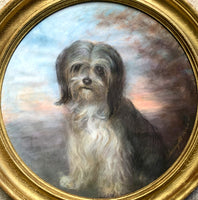 Beautiful Edwardian Pastel Portrait of a Lhasa Apso 1906 SOLD