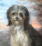 Beautiful Edwardian Pastel Portrait of a Lhasa Apso 1906 SOLD