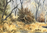 Superb Large Vintage Russian School Oil on Canvas Board - Woodland Landscape SOLD
