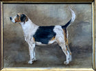 A Fine Vintage Oil on Panel depicting a Foxhound SOLD