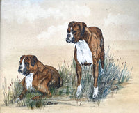 Fabulous Vintage Early C20th Watercolour of a Pair of Boxer Dogs SOLD