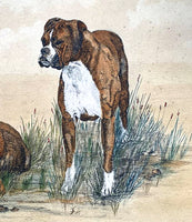 Fabulous Vintage Early C20th Watercolour of a Pair of Boxer Dogs SOLD