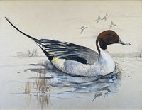 Exquisite Vintage Watercolour of a Mallard Duck - Reg Snook 1974 SOLD