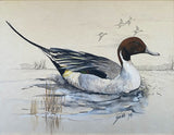 Exquisite Vintage Watercolour of a Mallard Duck - Reg Snook 1974 SOLD