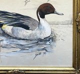 Exquisite Vintage Watercolour of a Mallard Duck - Reg Snook 1974 SOLD