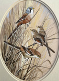 Superb Vintage C20th Watercolour of Finches on a Branch by Frank Jarvis 1988 SOLD