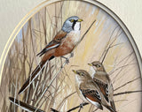 Superb Vintage C20th Watercolour of Finches on a Branch by Frank Jarvis 1988 SOLD