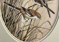 Superb Vintage C20th Watercolour of Finches on a Branch by Frank Jarvis 1988 SOLD