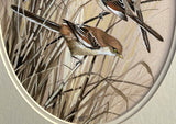 Superb Vintage C20th Watercolour of Finches on a Branch by Frank Jarvis 1988 SOLD