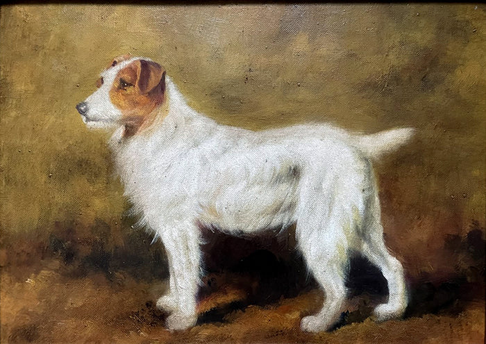Fine Vintage Oil on Canvas depicting a Rough Coat Jack Russell SOLD