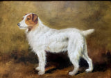 Fine Vintage Oil on Canvas depicting a Rough Coat Jack Russell SOLD