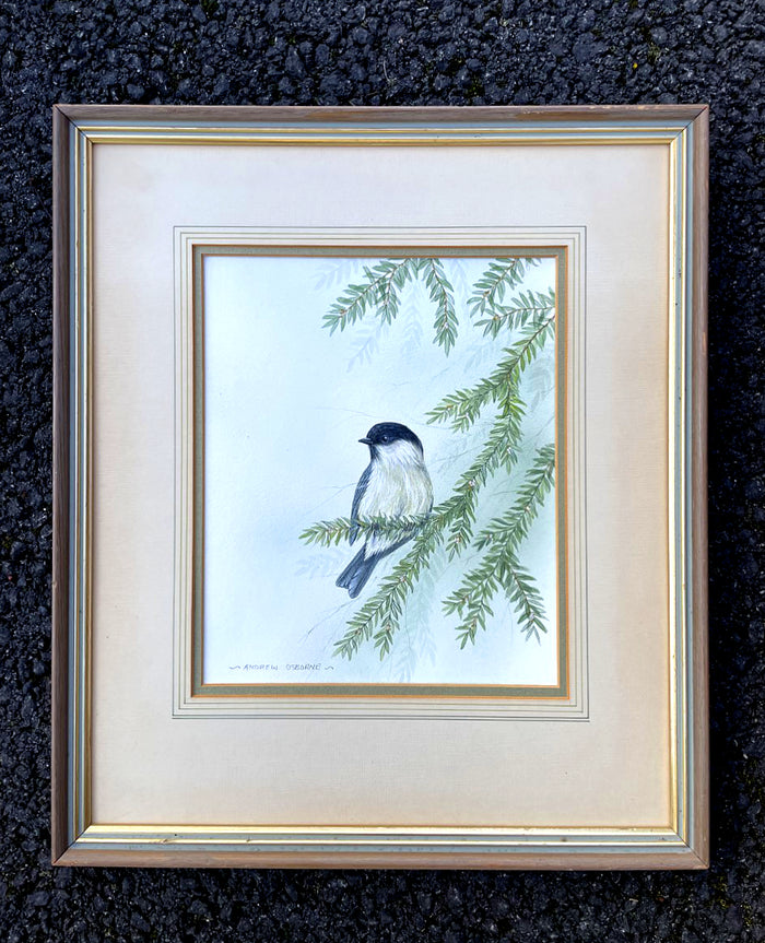 Excellent Vintage Watercolour of a Blue Tit on a Branch - Andrew Osborne SOLD