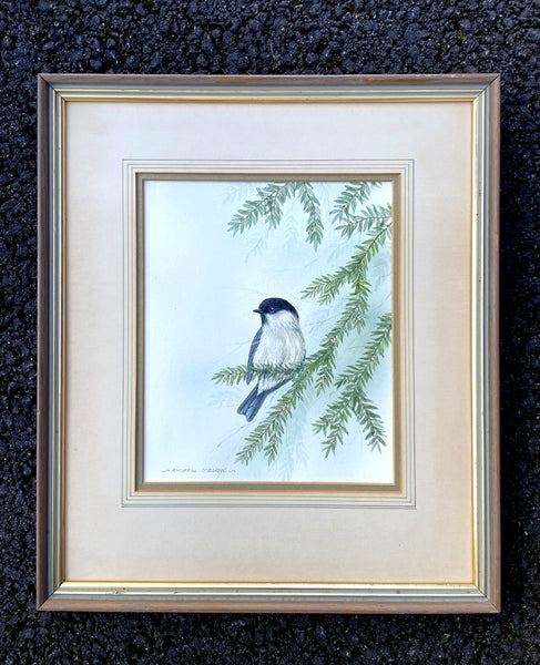 Excellent Vintage Watercolour of a Blue Tit on a Branch - Andrew Osborne