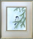 Excellent Vintage Watercolour of a Blue Tit on a Branch - Andrew Osborne SOLD