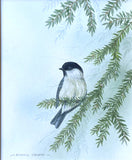 Excellent Vintage Watercolour of a Blue Tit on a Branch - Andrew Osborne SOLD