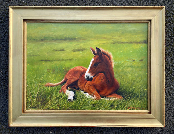 Stunning C20th Oil on Board depicting a Resting Foal - Mick Cawston 1988 SOLD