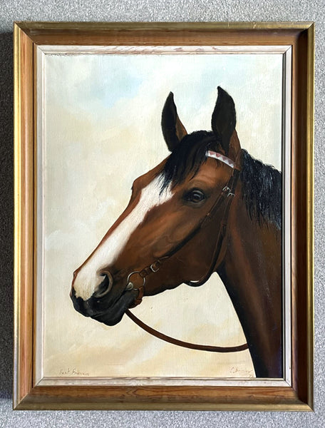 Excellent Vintage Mid C20th Oil on Canvas portrait of an East Friesian Horse by Christine Brisley SOLD