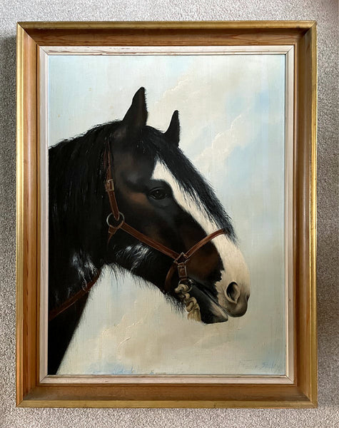 Stunning Vintage Mid C20th Oil on Canvas portrait of a Clydesdale Horse by Christine Brisley  SOLD