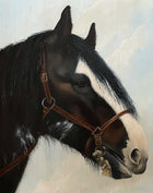 Stunning Vintage Mid C20th Oil on Canvas portrait of a Clydesdale Horse by Christine Brisley  SOLD