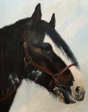 Stunning Vintage Mid C20th Oil on Canvas portrait of a Clydesdale Horse by Christine Brisley  SOLD