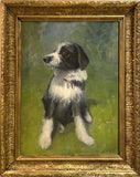 Beautiful Early C20th Oil on Canvas Board Portrait of a Border Collie SOLD