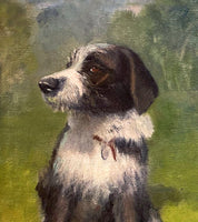 Beautiful Early C20th Oil on Canvas Board Portrait of a Border Collie SOLD