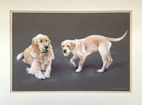 Superb Vintage Oil Pastel Study of 2 Golden Retrievers - Sarah Pyefinch SOLD