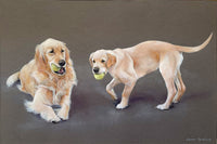 Superb Vintage Oil Pastel Study of 2 Golden Retrievers - Sarah Pyefinch SOLD