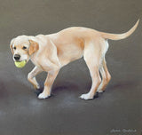 Superb Vintage Oil Pastel Study of 2 Golden Retrievers - Sarah Pyefinch SOLD