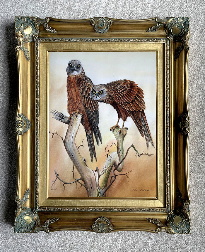 Fine Vintage C20th English School Watercolor - Study of Kites - Alan Fairbrass SOLD
