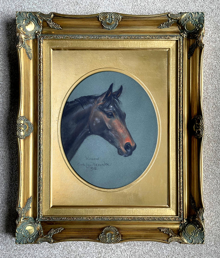 Exquisite Mid C20th Pastel Portrait of a Thoroughbred Horse 