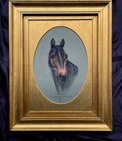 Exquisite Mid C20th Pastel Portrait of a Thoroughbred Horse "Cloanagh" by Carolyn Alexander 1975 SOLD