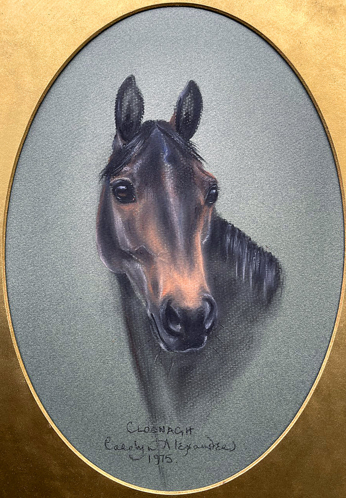 Exquisite Mid C20th Pastel Portrait of a Thoroughbred Horse 