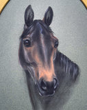 Exquisite Mid C20th Pastel Portrait of a Thoroughbred Horse "Cloanagh" by Carolyn Alexander 1975 SOLD